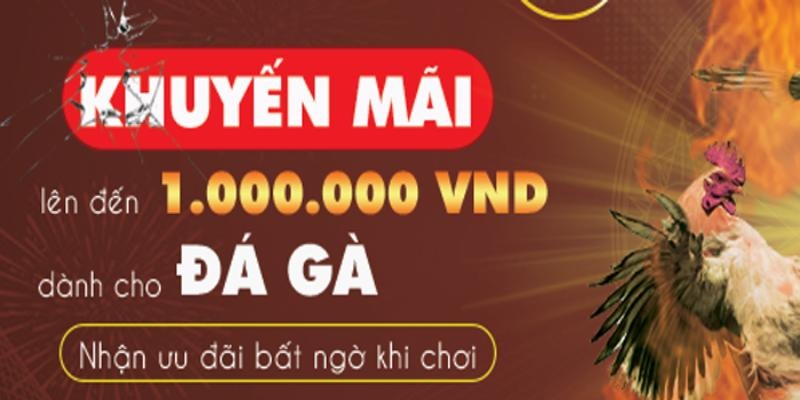 Anh em nên chú ý mỗi 1 tài khoản chỉ tham gia ưu đãi 1 lần duy nhất
