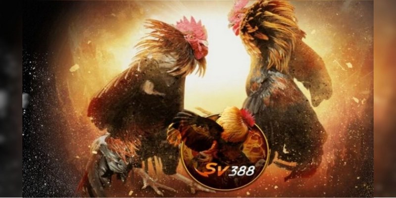 Hệ thống có chính sách giới thiệu bạn mới được nhận thưởng hấp dẫn